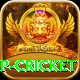 2022 world cup cricket Games (Casino & Earning) Ultimate v5.6.3