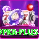 9pkr Apps (Tools & Injectors) Elite v3.1.2