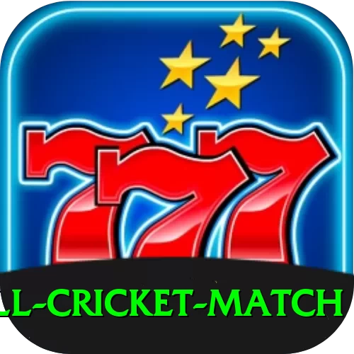 all cricket match Deluxe Edition v1.3.6 - 2