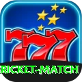 all cricket match Deluxe Edition v1.3.6