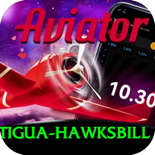 antigua hawksbill Max v2.0.2 - 2