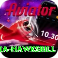 antigua hawksbill Max v2.0.2