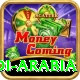 asia cup saudi arabia Premium Edition v1.0.5
