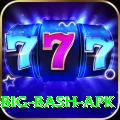 bbl big bash apk Games (Casino & Earning) Pro v4.5.1