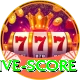big bash live score VIP
