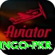 Bingo PKR Games (Casino & Earning) Max v1.0.6