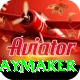 cam playmaker Premium Plus v3.5.2