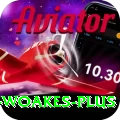 chris woakes APK Pro v2.1.4