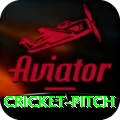 cricket pitch Games (Casino & Earning) Master v5.9.1