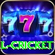 defending total cricket Plus Edition v3.3.0