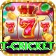 early payout cricket Pro1 v3.8.7