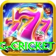 eng cricket Games (Casino & Earning) Turbo v3.1.8