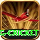 expected goals x g cricket Plus Edition v3.1.3