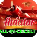fastest ball in cricket Master v2.4.6