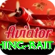 fishing bait Premium Edition v2.0.1