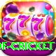 god of cricket Plus Pro v3.0.4