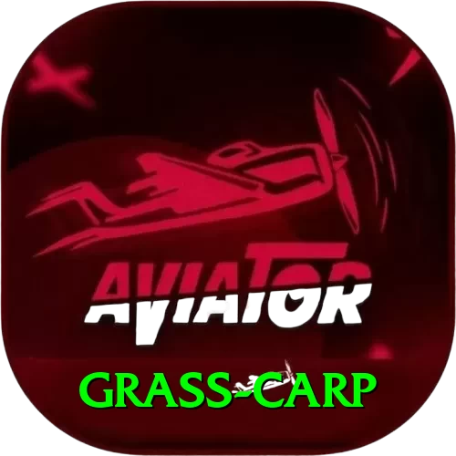 grass carp Turbo Pro v2.6.0 - 2