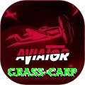 grass carp Turbo Pro v2.6.0