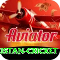 india pakistan cricket Ultimate v5.1.6