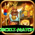 india pakistan cricket match Plus Edition v2.6.4