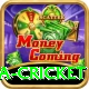 india sri lanka cricket Plus v5.6.6