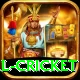 international cricket Pro1 v2.1.2