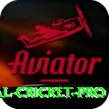 international cricket Games Turbo