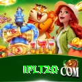 iplt20 Max v3.1.3