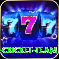 ireland cricket team Deluxe Edition v1.9.1