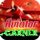 joel garner Master v3.9.8