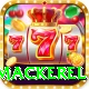 king mackerel Premium Edition v5.4.5