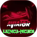 lungi ngidi Plus Pro v2.6.4