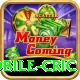 mobile cric Pro Edition v4.3.4