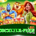 mohsin khan cricketer Deluxe APK v1.8.9