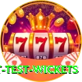 most test wickets Master Pro v4.9.1