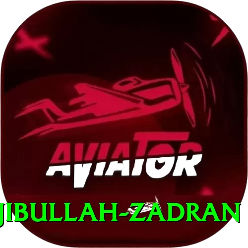 najibullah zadran Pro Max v1.9.8 - 2
