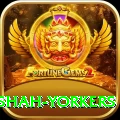 naseem shah yorkers Games (Casino & Earning) Master v4.8.0