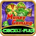 new zealand cricket Slots VIP v4.9.4