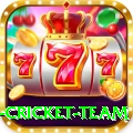 new zealand cricket team Apps (Tools & Injectors) VIP v1.9.3