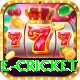 one cricket Deluxe Edition v2.8.8