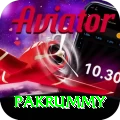 pakrummy Apps (Tools & Injectors) VIP v4.6.1