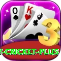 play cricket Game Deluxe v3.1.2