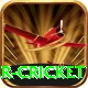 r cricket Gold Edition v4.4.1