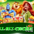risk free bet cricket Pro Edition v5.0.7