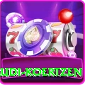 rudi koertzen Max Pro v3.5.2