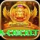 sa cricket Ultimate Pro v2.6.5