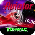 sehwag Apps (Tools & Injectors) Ultimate v5.1.9