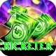 shahrukh khan cricketer Ultimate v1.1.4