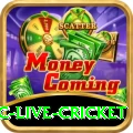 smartcric live cricket Pro Max v4.0.3