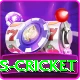 sports cricket Deluxe Edition v3.5.7